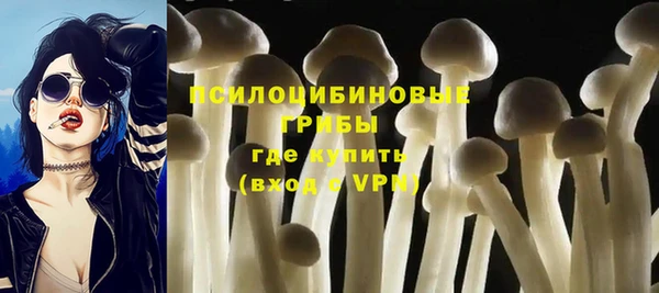 таблы Арсеньев